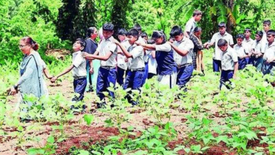 Blind school students feel the joy of harvesting