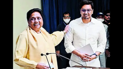 Akash Anand: MBA Graduate From London And Mayawati's Political Heir