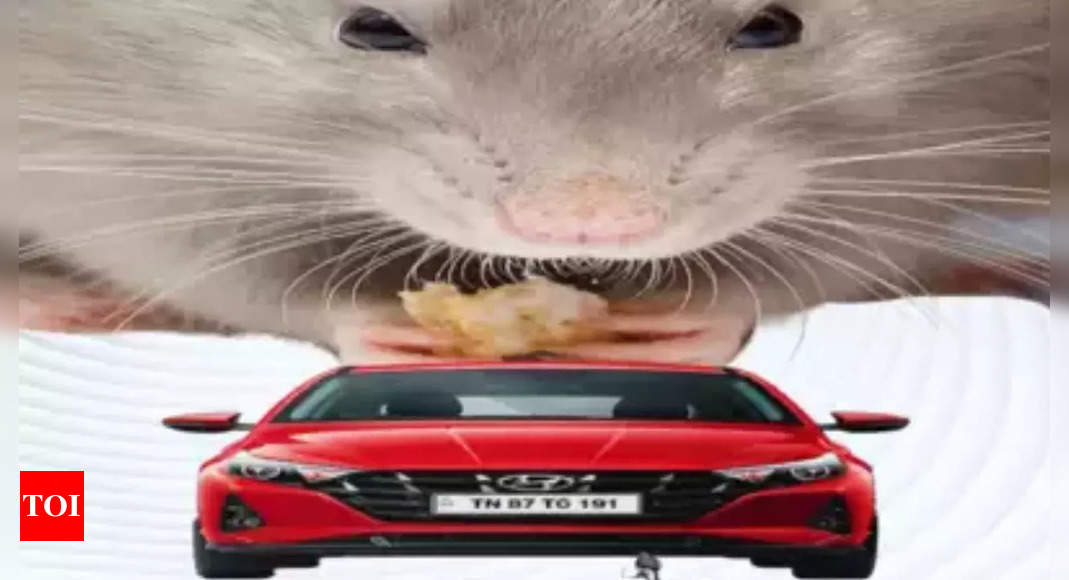 How to save your car from expensive rodent attacks: Monsoon pest control guide