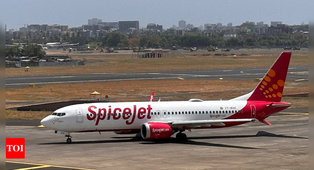 ‘We are struggling to stay afloat’: SpiceJet to Delhi high court – Times of India