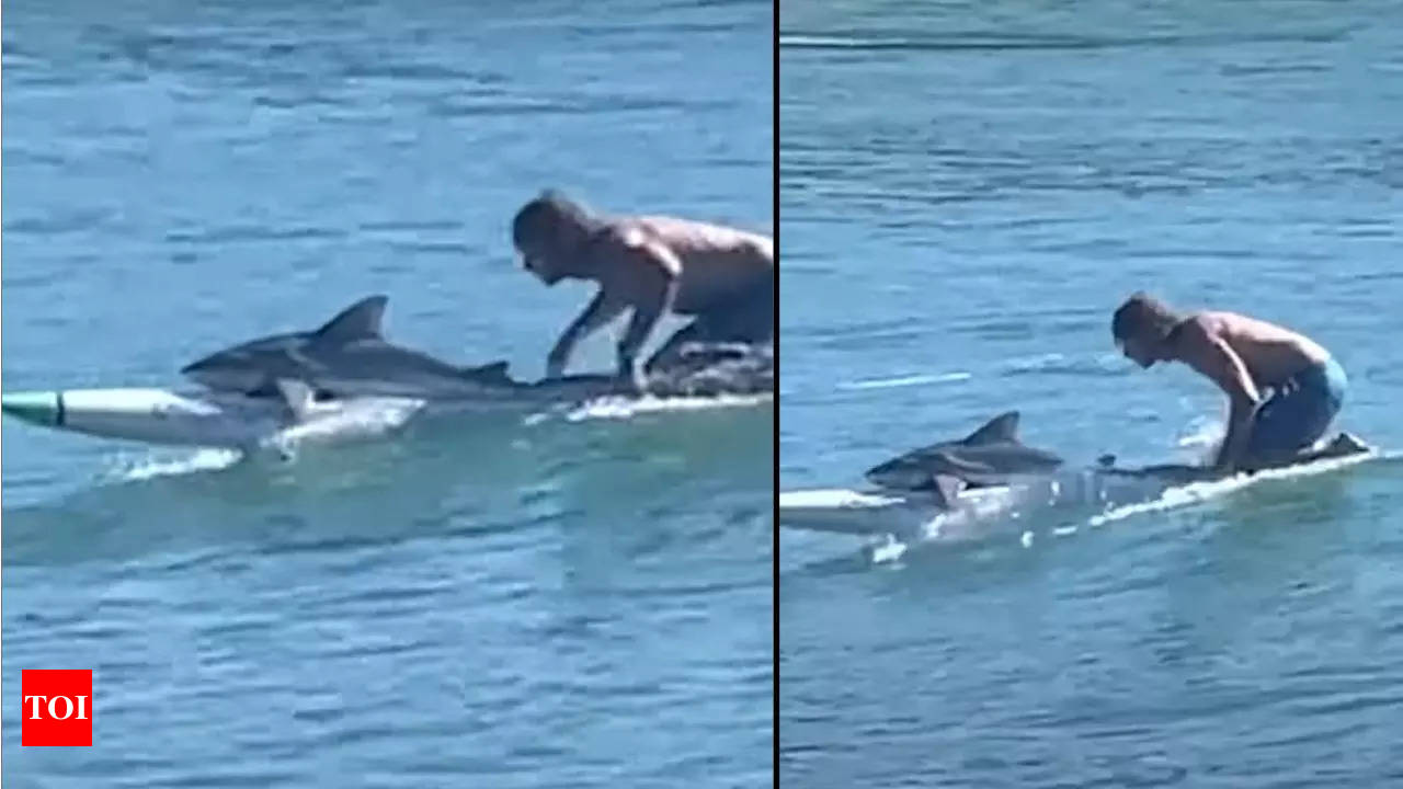 Man miraculously survived great white shark attack by playing dead