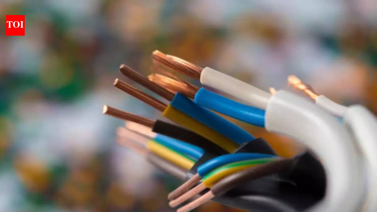 Precised Jumper Wires for Better Functioning | - The Times Reviews ...