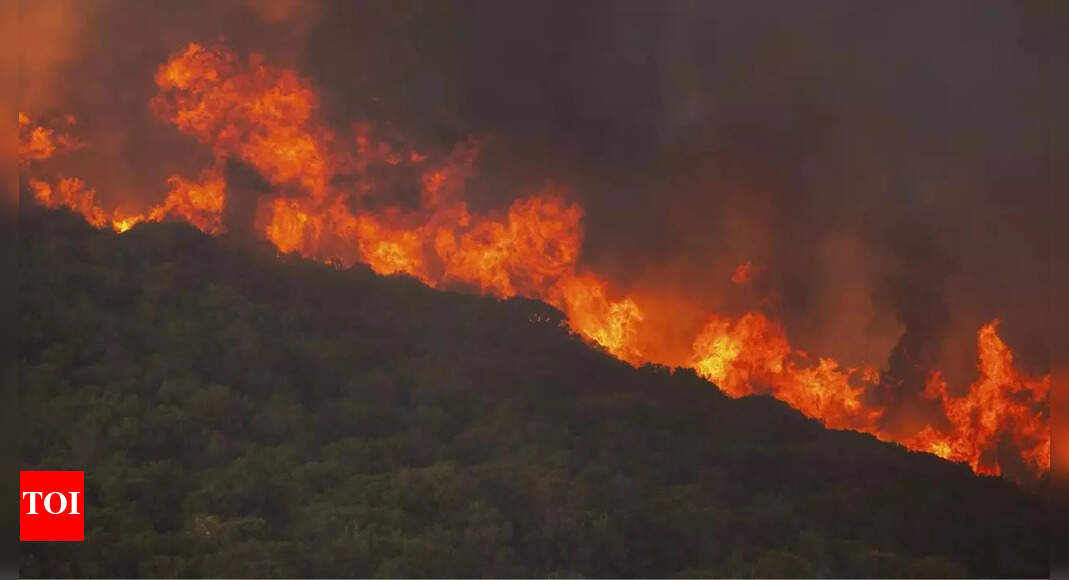 Firefighters in Greece struggle to control wildfires, including the EU’s largest blaze