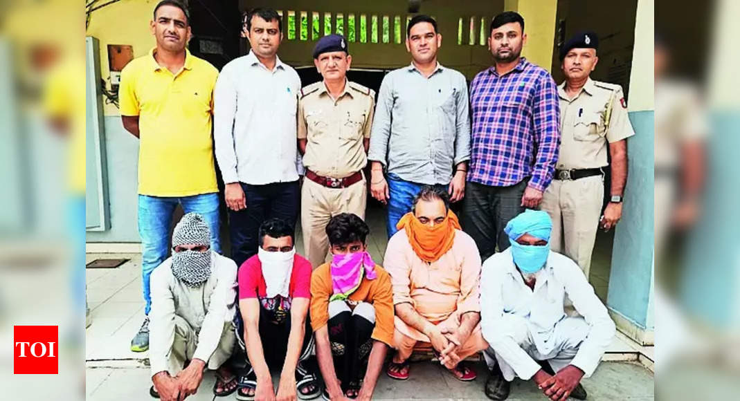 Poppy Husk: Drug Peddlers’ Gang Busted, 35kg Poppy Husk Seized ...