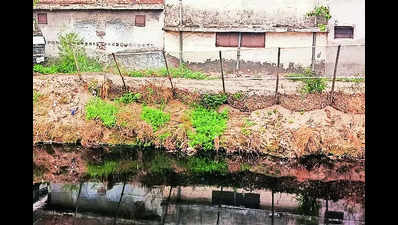Buddha Nullah fencing work: ₹13cr goes down the drain?