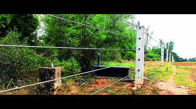 Electric poles in forests covered with iron fencing to safeguard elephants