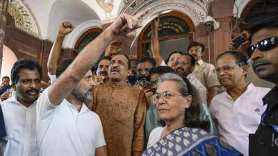 Congress leader Sonia Gandhi to join son Rahul in Srinagar on Saturday