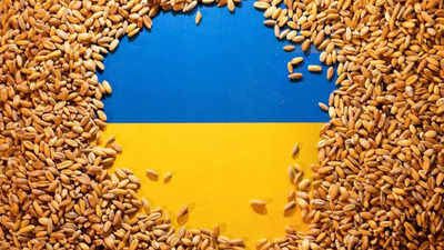 US sees viable routes to export Ukrainian grain