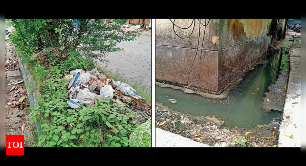 Mosquito Breeding: Bmc Dengue Figures Cross 150 In A Week, Civic Lens ...