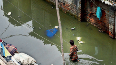 Delhi: Yamuna’s floodplain lost, floods in future could be worse