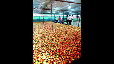 Dist APMCs see steep spike in tomato supply
