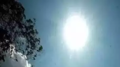 Eight Districts On Heat Alert Today | Kochi News - The Times of India
