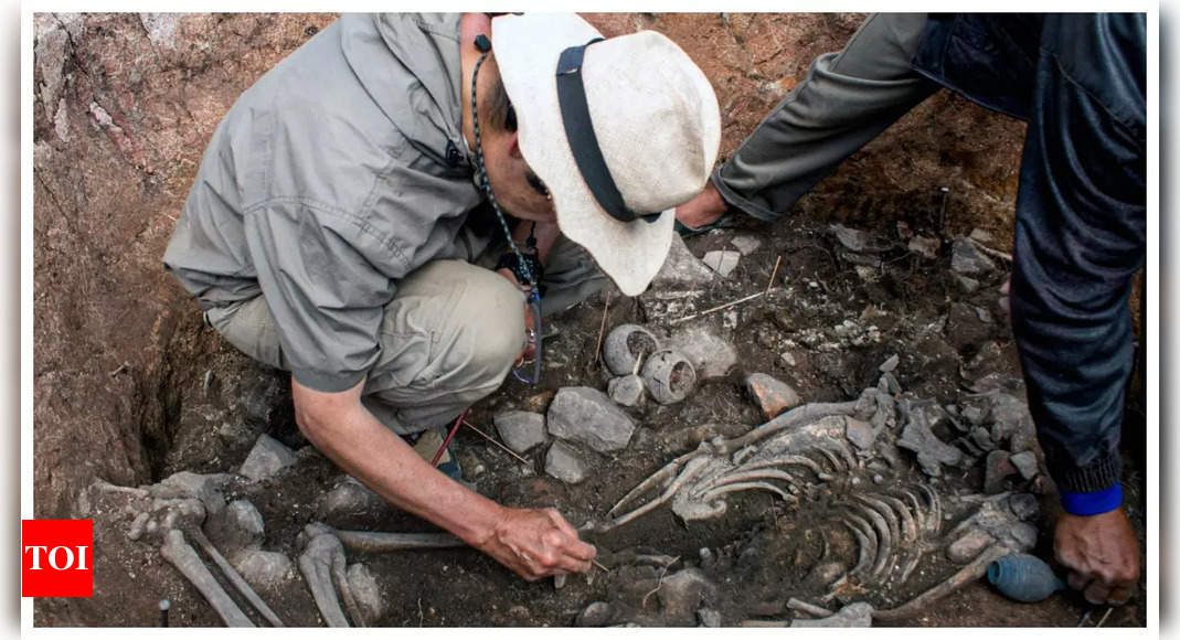 Archaeologists unearth 3,000-year-old priestly tomb in northern Peru – Times of India