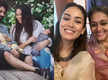 
Mira Rajput Kapoor drops picture with mother-in-law Supriya Pathak from daughter Misha's birthday, reminds fans of 'Hansa' from Khichdi
