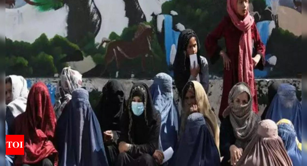 The Taliban say security forces will stop women from visiting Afghan national park – Times of India