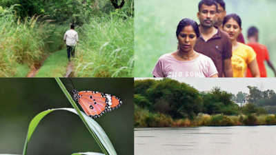 Delhi: Not too far from the madding crowd, a lesson in biodiversity conservation
