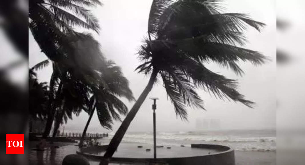 Tropical Storm Idalia forms near Mexico, heads to Florida – Times of India