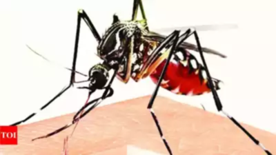 Haryana records 62 new dengue cases in a day, tally crosses 1k