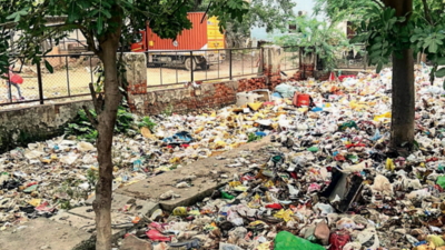 Already cleared once, garbage back, turns Sec 5 greenbelt into dumpsite ...