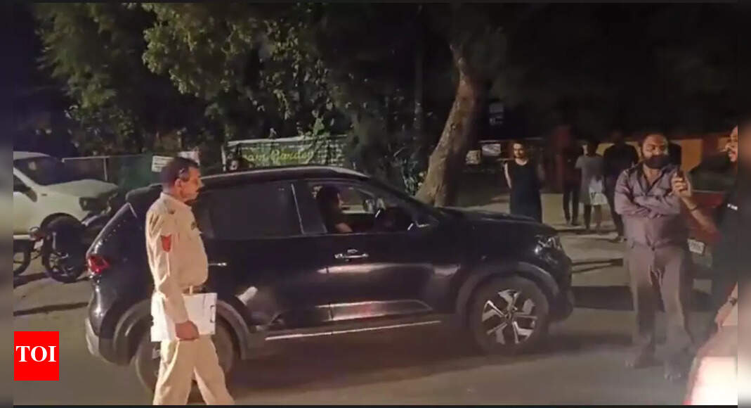 Intoxicated woman argues with police in Gujarat, video goes viral on ...