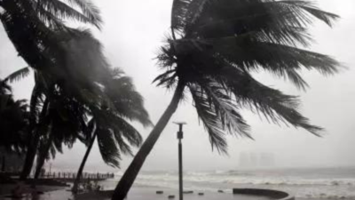 Tropical storm Idalia: Hurricane-prep tax 'holiday' on in Florida