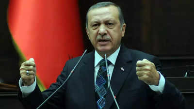 Turkey's Erdogan to visit Russia 'soon' to discuss grain deal