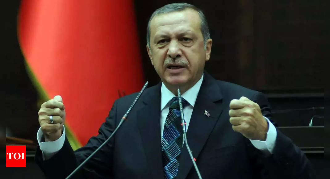 Turkey’s Erdogan to visit Russia ‘soon’ to discuss grain deal – Times of India