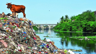 Come October, no plastic waste can go unprocessed in Tamil Nadu