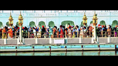 A brigade of post-grad guides await devotees at Golden Temple
