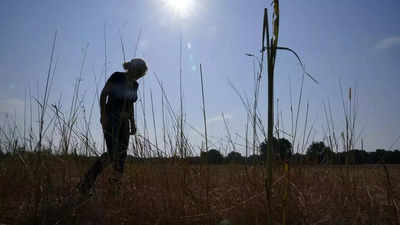 Human-caused climate change may lead to 1 billion premature deaths over next century: Study