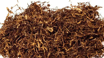 Compound in tobacco leaves may aid fight against cancer: Study