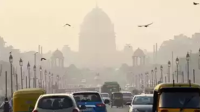 People of world's most polluted city Delhi on track to lose 11.9 years of life to pollution, says study