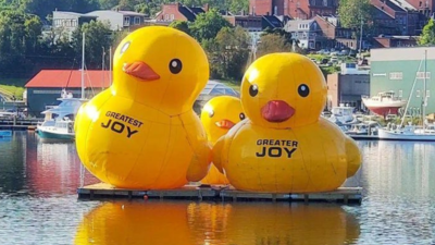 Big inflatable ducks return to Belfast Harbor in Maine