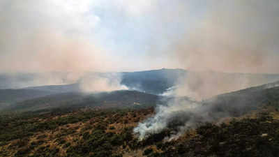Greece wildfire destroys area bigger than New York City