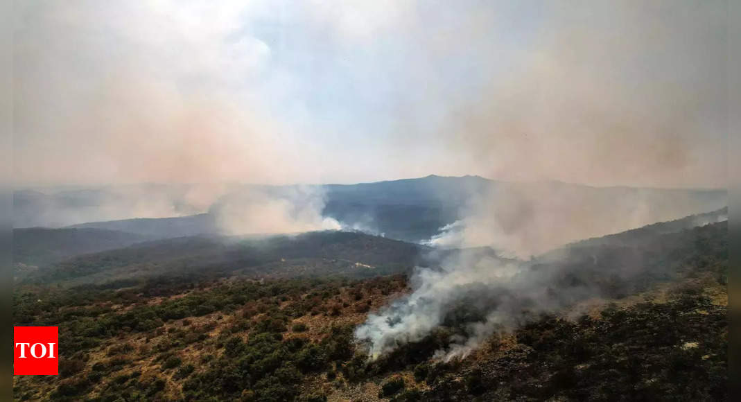 Greece wildfire destroys area bigger than New York City – Times of India