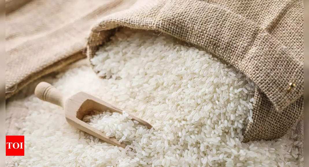 India decides to allow rice export to Singapore: MEA | India News