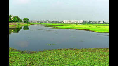 Regulator fails to save Korattur lake from sewage