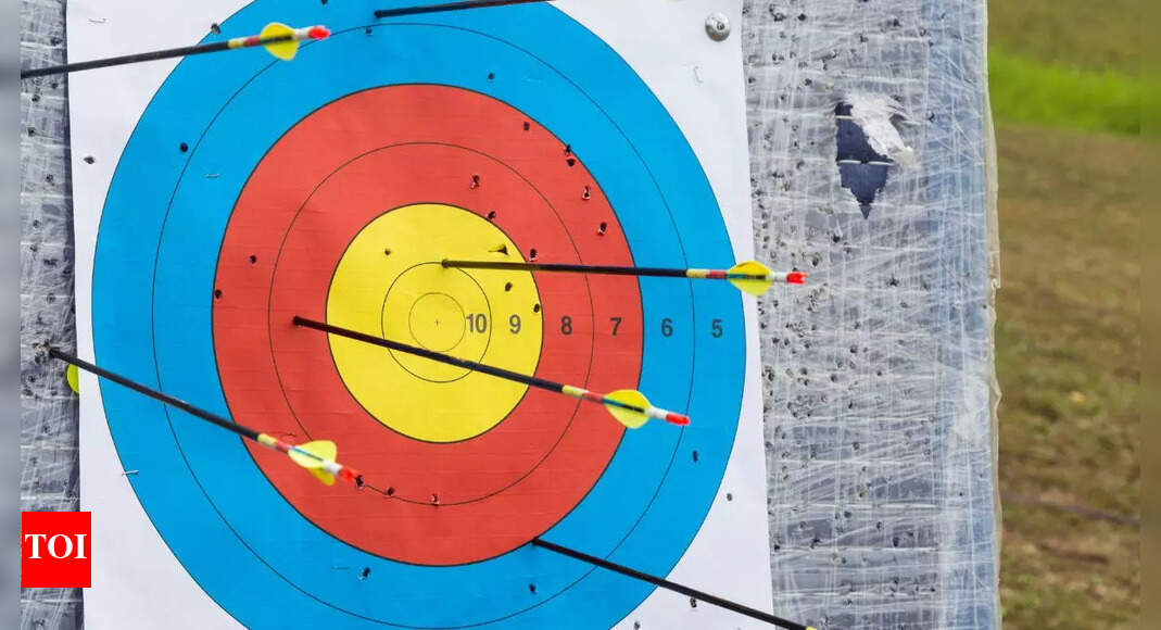 Archery target boards for professionals Best picks Times of India