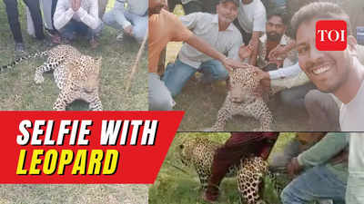 Villagers take selfies with leopard, try to ride it in MP's Dewas district