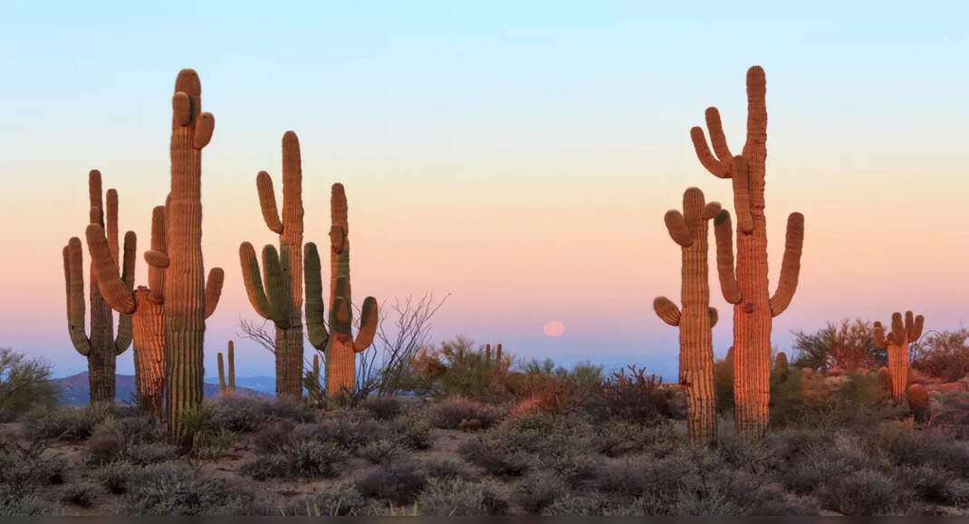 Next on your travel wishlist... Nothing, Arizona - TimesTravel