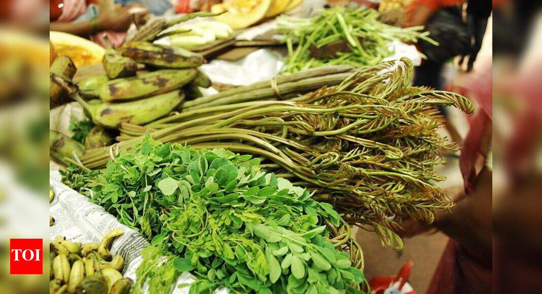 ‘Ranbhaji’ festival at Canacona to bring forest nutrition to people ...