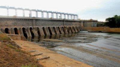 Karnataka releases 7,500 cusecs of Cauvery water to Tamil Nadu amid stir