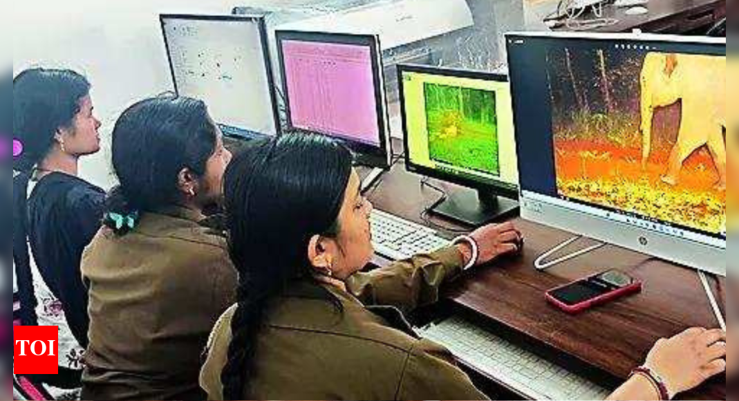 Similipal Tiger Reserve: Tech Lessons For Similipal Staff To Monitor ...
