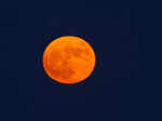 August 30 Blue Moon 