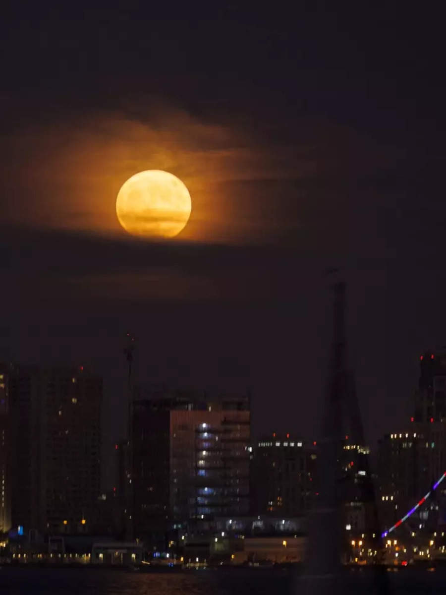 Super Blue Moon lights up the night sky across the world TOIPhotogallery