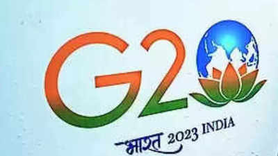 G20 leaders will visit Rajghat to pay respects to Mahatma Gandhi, says senior official