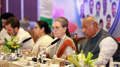 Opposition Has Come Together To Save Constitution, Democracy: INDIA ...