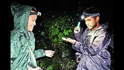 Wildlife: Field Assistants Real Heroes Of Arunachal Wildlife