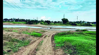 Rivers in Haveri run dry due to deficit rain; farmers worried