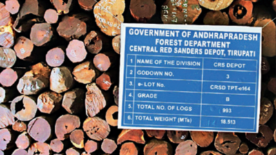 Slump in China eco hits red sanders auction in AP | Amaravati News ...
